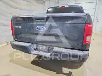2017 Ford F-150 фото
