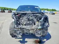 2017 Ford F-150 photo