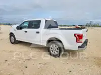 2017 Ford F-150 фото