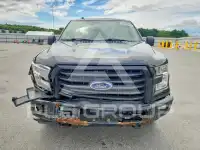2017 Ford F-150 фото