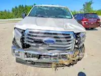 2017 Ford F-150 фото