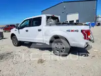 2017 Ford F-150 фото
