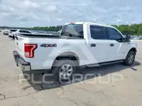2017 Ford F-150 photo
