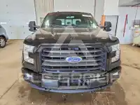 2017 Ford F-150 фото