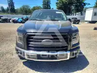 2017 Ford F-150 фото