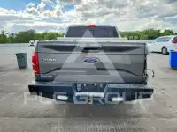 2017 Ford F-150 photo
