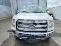 2017 Ford F-150 photo