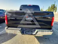 2017 Ford F-150 photo