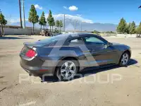 2017 Ford MUSTANG photo