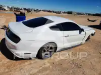 2017 Ford MUSTANG фото
