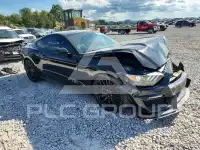 2017 Ford MUSTANG фото