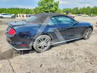 2017 Ford MUSTANG фото