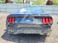 2017 Ford MUSTANG фото