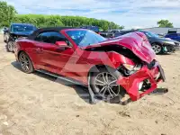 2017 Ford MUSTANG photo