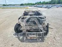 2017 Ford MUSTANG photo