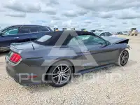 2017 Ford MUSTANG photo