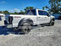 2017 Ford F-250 photo