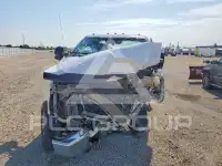 2017 Ford F-250 фото