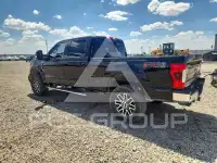 2017 Ford F-250 фото