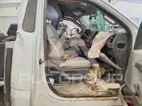 2017 Ford F-250 фото