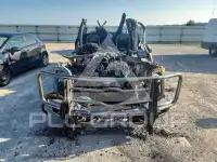 2017 Ford F-250 photo