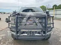 2017 Ford F-250 фото