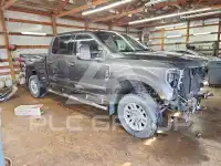 2017 Ford F-250 фото