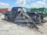 2017 Ford F-250 photo