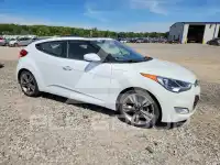2017 Hyundai Veloster photo