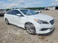 2017 Hyundai Elantra photo