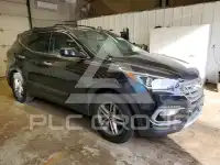 2017 Hyundai Santa Fe фото