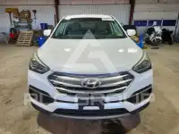 2017 Hyundai Santa Fe photo
