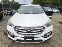 2017 Hyundai Santa Fe photo