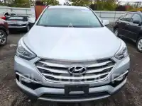 2017 Hyundai Santa Fe фото