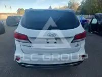 2017 Hyundai Santa Fe фото