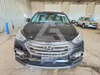 2017 Hyundai Santa Fe фото