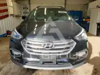 2017 Hyundai Santa Fe фото