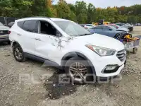 2017 Hyundai Santa Fe photo