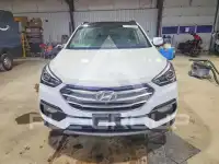 2017 Hyundai Santa Fe фото