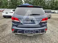 2017 Hyundai Santa Fe photo