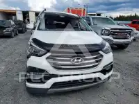 2017 Hyundai Santa Fe фото