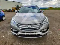 2017 Hyundai Santa Fe фото