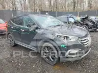 2017 Hyundai Santa Fe фото