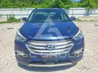 2017 Hyundai Santa Fe фото