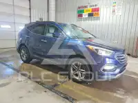 2017 Hyundai Santa Fe фото