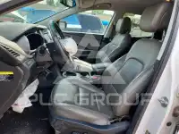 2017 Hyundai Santa Fe фото