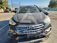 2017 Hyundai Santa Fe photo