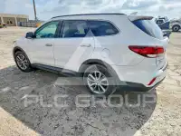 2017 Hyundai Santa Fe photo