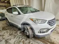 2017 Hyundai Santa Fe фото