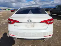 2017 Hyundai Sonata photo